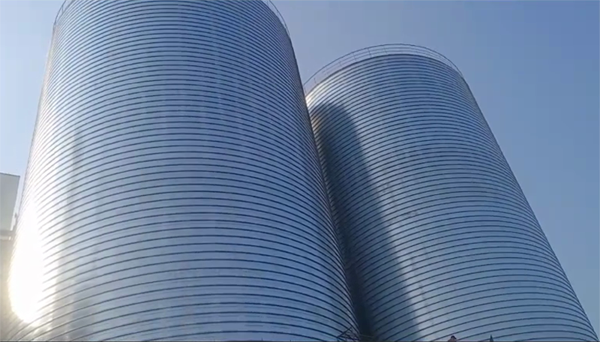 青云谱2座混凝土高架卷板仓